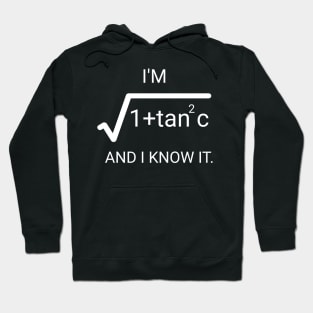 i'm root 1+ tan square c and iknow it Hoodie